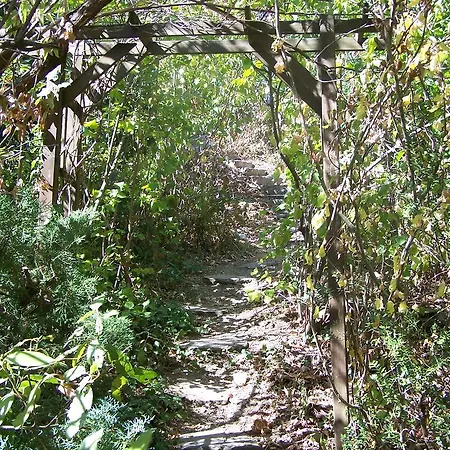 Le Cevenn'hols Daire *